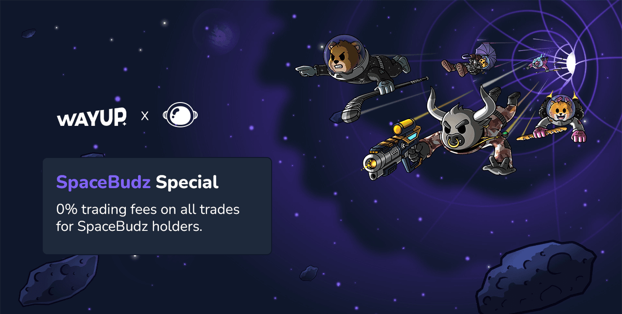 night sky full of stars